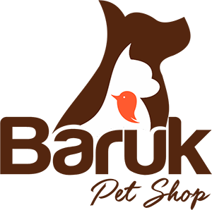 logo baruk2